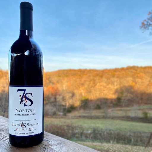 Winery «Seven Springs Winery», reviews and photos, 846 Winery Hills Estates, Linn Creek, MO 65052, USA
