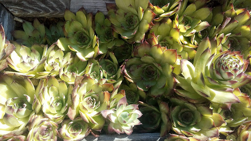 Live Music Venue «The Birk», reviews and photos, 11139 OR-202, Birkenfeld, OR 97016, USA