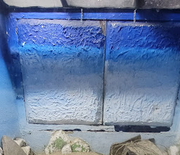 Morelos Park Zoo photo