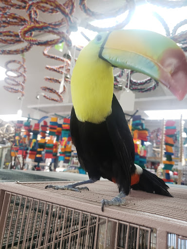 Bird Shop «Arizona Bird Store», reviews and photos, 565 S Dobson Rd, Mesa, AZ 85202, USA