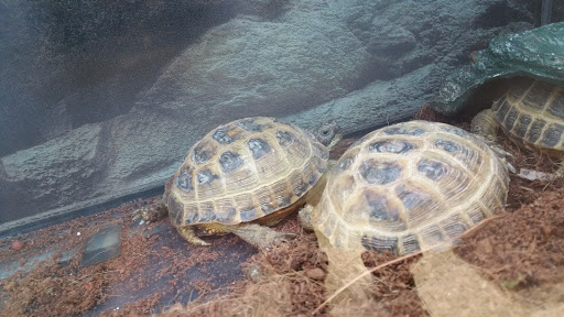 Pet Supply Store «Petco Animal Supplies», reviews and photos, 1090 Fort Union Blvd, Midvale, UT 84047, USA