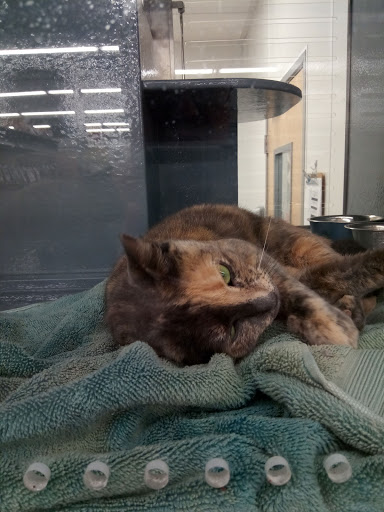 Shopping Mall «West Volusia Regional Shopping Center», reviews and photos, 2689 S Woodland Blvd, DeLand, FL 32720, USA