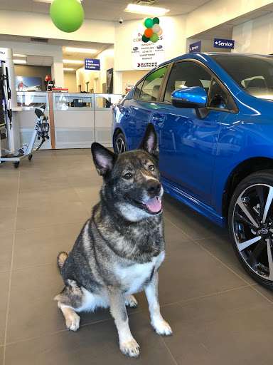 Subaru Dealer «Dunning Subaru», reviews and photos, 3771 Jackson Rd, Ann Arbor, MI 48103, USA