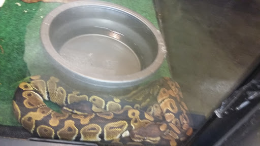 Pet Supply Store «Pet Supplies Plus», reviews and photos, 494 Westgate Dr, Brockton, MA 02301, USA