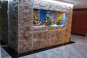 Kings Fish Tank & Maintenance image