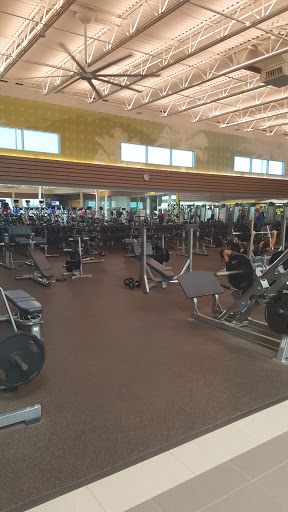 Gym «LA Fitness», reviews and photos, 9050 Falcon View Dr, McKinney, TX 75070, USA