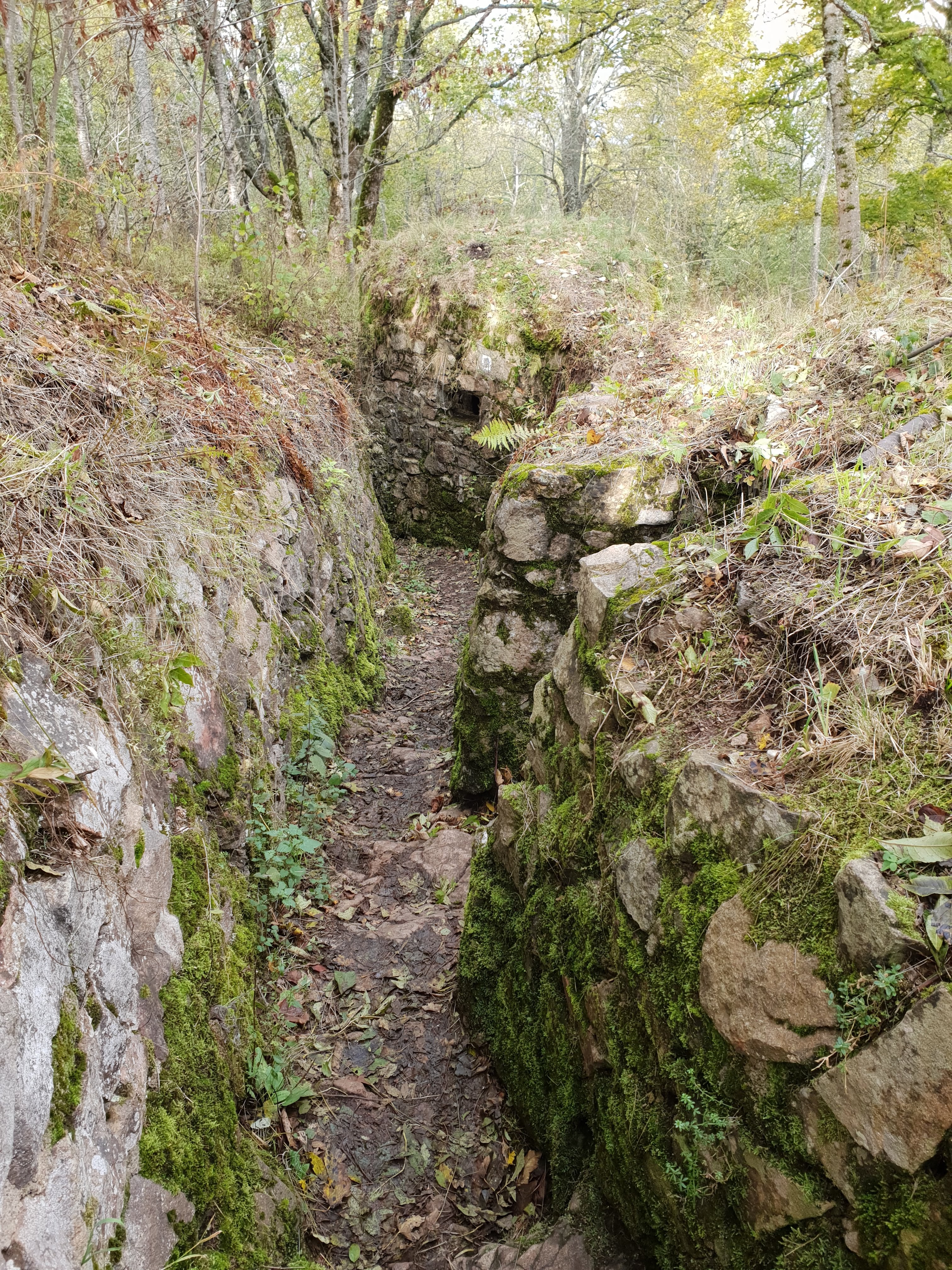 Photo n° 8 de l'avis de sandra.w fait le 26/10/2020 à 15:14