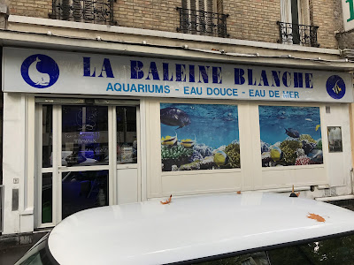 La Baleine Blanche à Boulogne-Billancourt