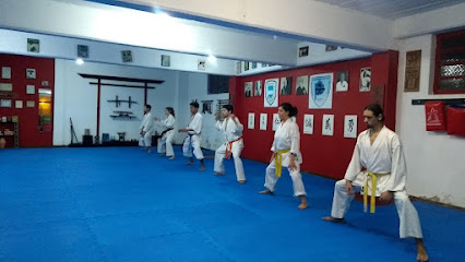 Escuela Internacional de Karate Do Bushikai
