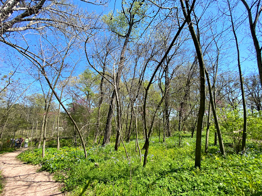 Nature Preserve «Shaw Nature Reserve», reviews and photos, 307 Pinetum Loop Rd, Gray Summit, MO 63039, USA