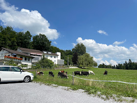 Alters- und Pflegeheim Grüneck