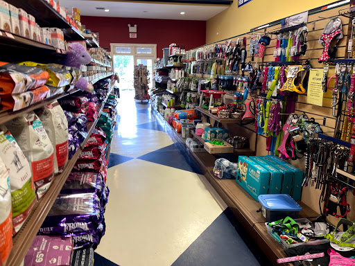 Florist «Petals & Paws», reviews and photos, 465 Albany Turnpike, Canton, CT 06019, USA