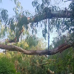 Photo n°9 de l'avis de johann.s fait le 25/08/2019 à 10:32 sur le  Arbatax Park Resort à Arbatax