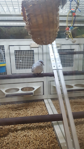 Pet Supply Store «PetSmart», reviews and photos, 1559 Merritt Blvd, Dundalk, MD 21222, USA