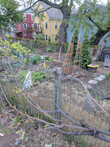 Park «Kenney Park», reviews and photos, 20 Grove St, Somerville, MA 02144, USA