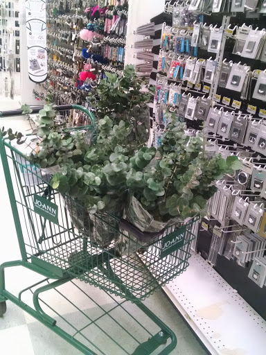 Fabric Store «Jo-Ann Fabrics and Crafts», reviews and photos, 10545 S Mall Dr, Baton Rouge, LA 70809, USA