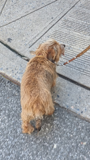 Modern Art Museum «Solomon R. Guggenheim Museum», reviews and photos, 1071 5th Ave, New York, NY 10128, USA