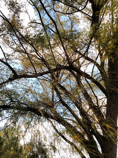 Golf Course «Brighton Park Golf Course», reviews and photos, 70 Brompton Rd, Tonawanda, NY 14150, USA