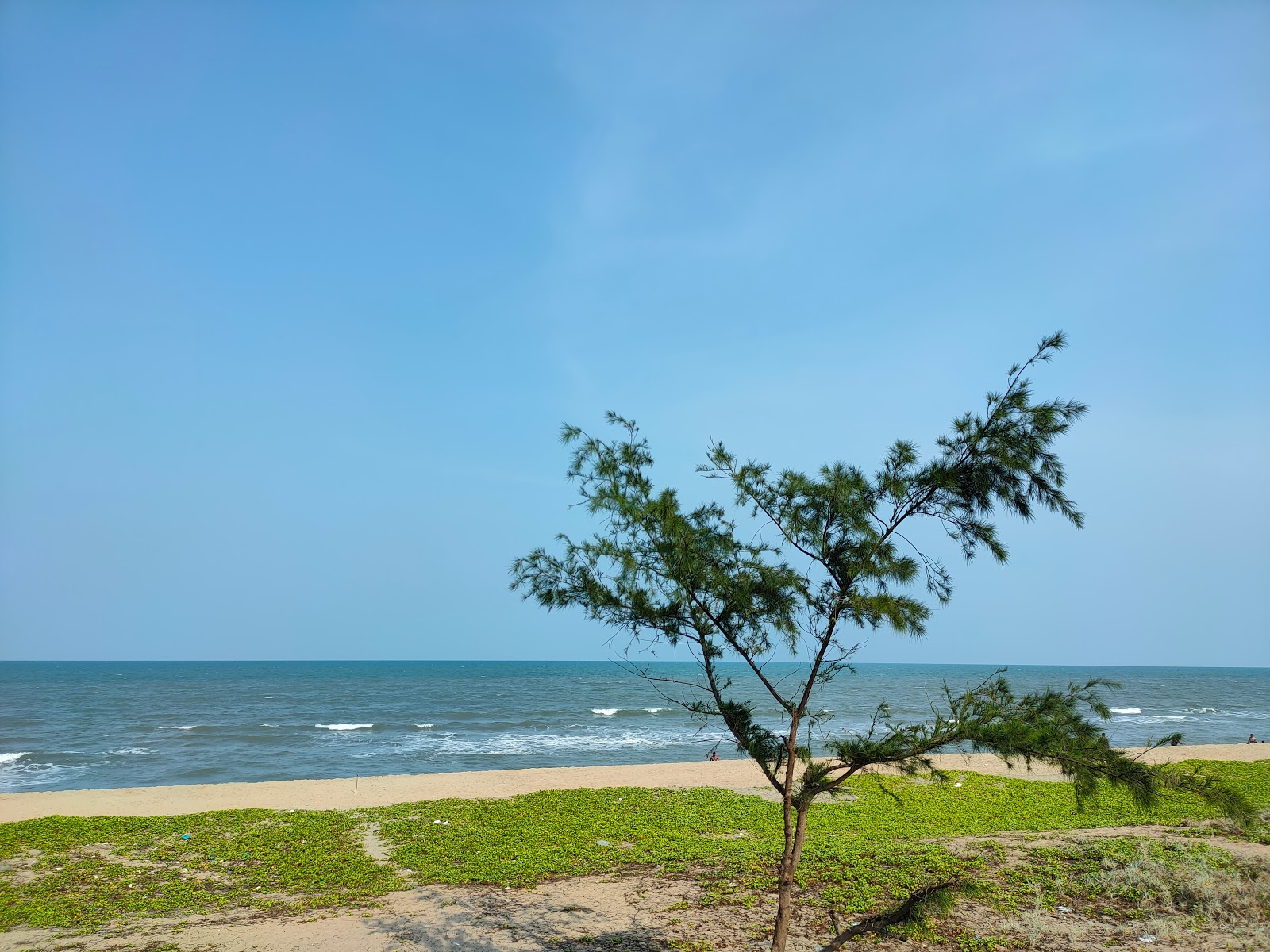Pudhukuppam Beach的照片 带有碧绿色水表面