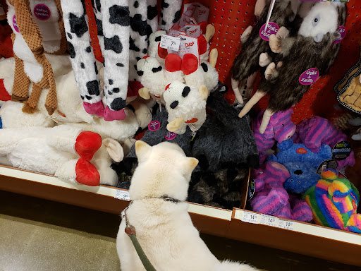 Pet Supply Store «PetSmart», reviews and photos, 4794 Jimmy Lee Smith Pkwy #108, Hiram, GA 30141, USA