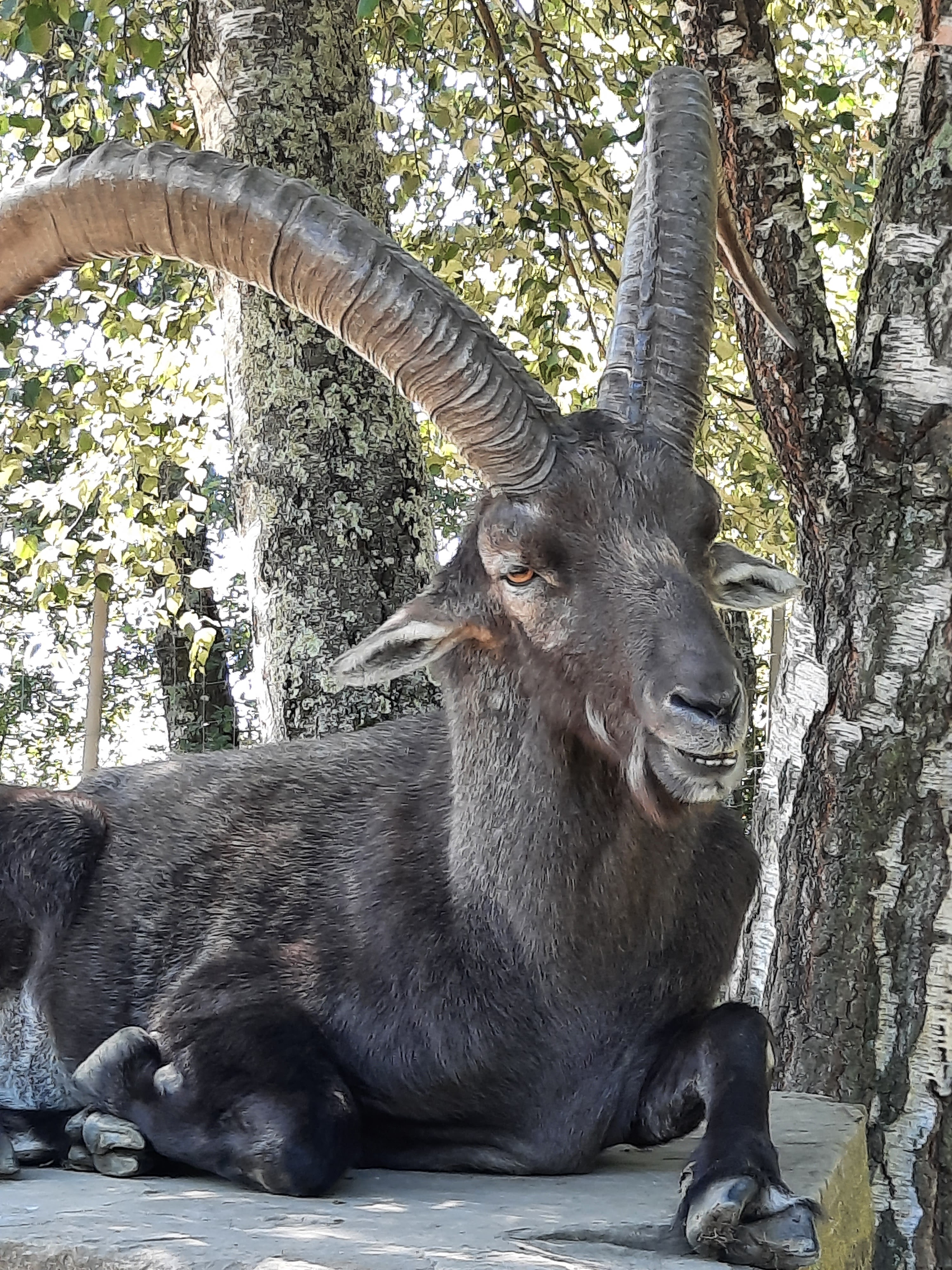 Photo n° 9 de l'avis de Gwen.i fait le 08/08/2023 à 13:19