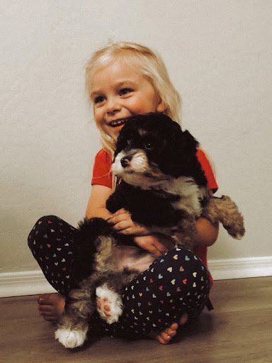 Pet Store «Animal Kingdom», reviews and photos, 4500 N Oracle Rd #254, Tucson, AZ 85705, USA