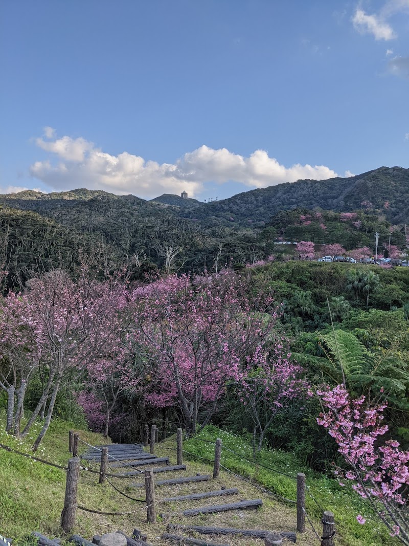 桜の森公園遊步道