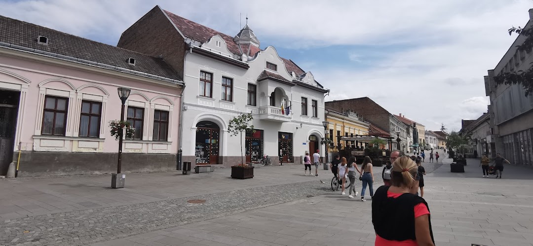 Miercurea Ciuc, Romanya