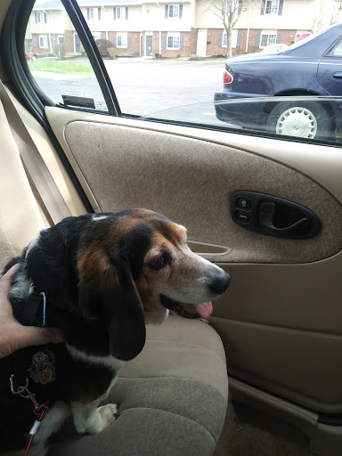 Animal Shelter «HELP the Animals, Inc», reviews and photos, 2101 W Main St, Richmond, IN 47374, USA