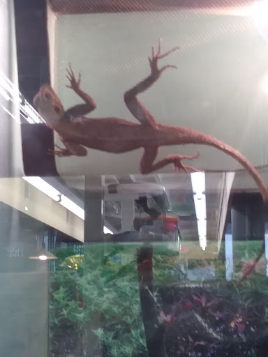 Pet Supply Store «Mellisa’s PET DEPOT», reviews and photos, 83 Faunce Corner Mall Rd, Dartmouth, MA 02747, USA