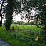 Photo n°8 de l'avis de Ramona.p fait le 27/09/2021 à 15:53 sur le  Zum Alten Krug à Wangerland