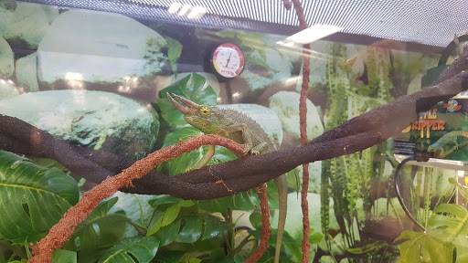 Pet Supply Store «Petco Animal Supplies», reviews and photos, 1203 SE Everett Mall Way f, Everett, WA 98208, USA