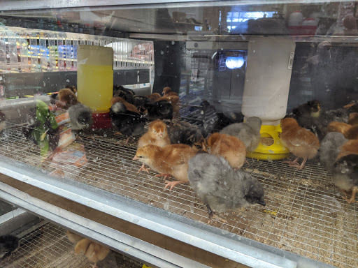 Animal Feed Store «IFA Country Stores», reviews and photos, 1071 Pioneer Rd, Draper, UT 84020, USA