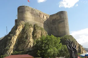 Fortress of Oltu image