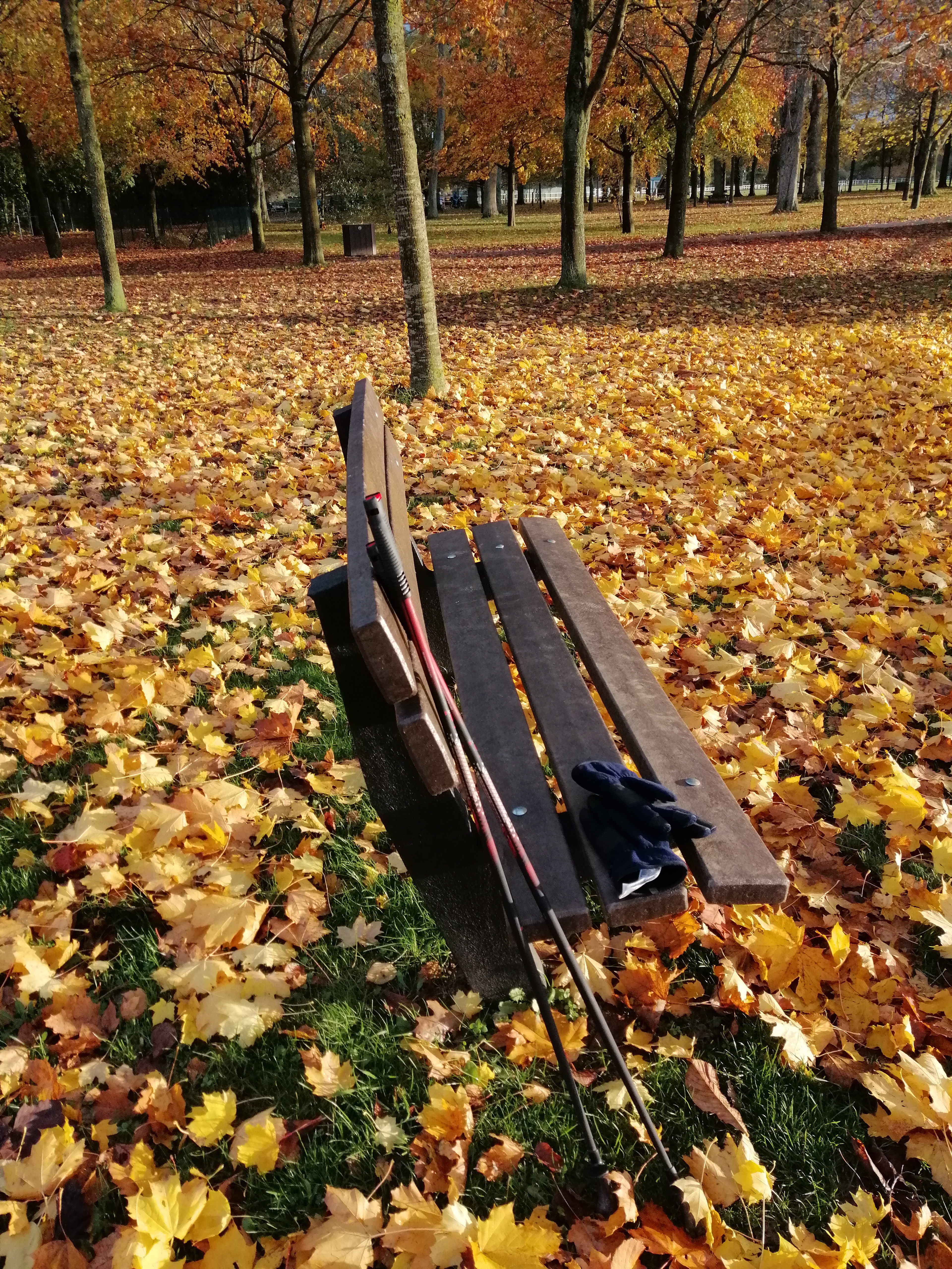 Photo n° 2 de l'avis de Derriennic.r fait le 21/11/2019 à 19:16