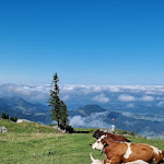 Photo n°2 de l'avis de Marion.i fait le 18/09/2023 à 05:43 sur le  SonnenAlm à Aschau im Chiemgau