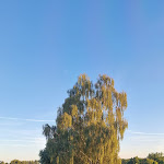 Photo n°1 de l'avis de Michael.p fait le 23/09/2023 à 18:46 sur le  Stelinger Hof Hotel Münkel GmbH & Co. KG à Garbsen