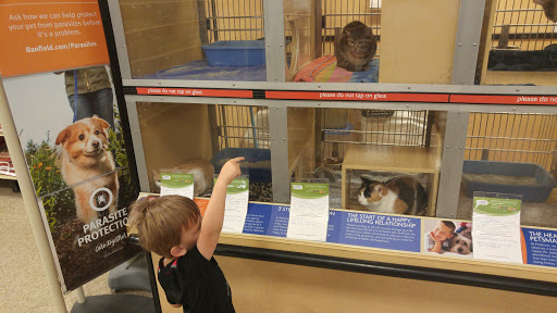 Pet Supply Store «PetSmart», reviews and photos, 21032 S Ellsworth Loop, Queen Creek, AZ 85142, USA