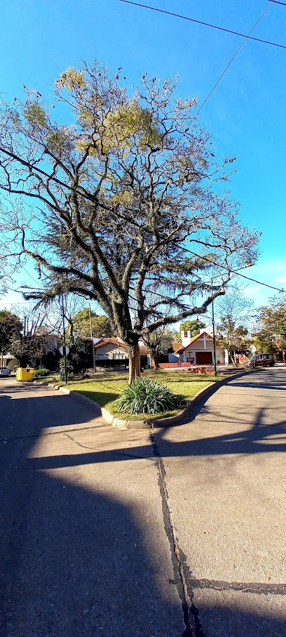 Plazoleta Santa Rosa