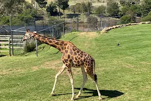 National Zoo & Aquarium image