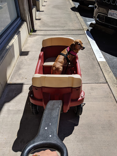 Shopping Mall «Crystal Springs Shopping Village», reviews and photos, 100 De Anza Blvd, San Mateo, CA 94402, USA