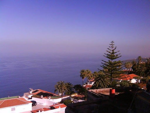 Lethicia Escobedo D en La Orotava, Santa Cruz de Tenerife