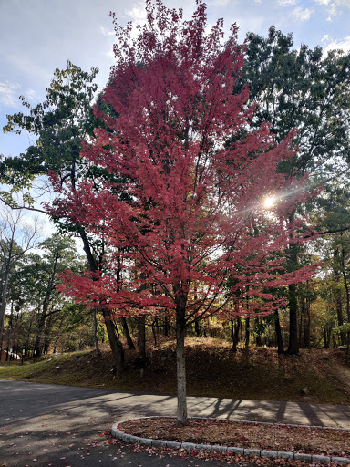 Park «Sprain Ridge Park», reviews and photos, 149 Jackson Ave, Hastings-On-Hudson, NY 10706, USA