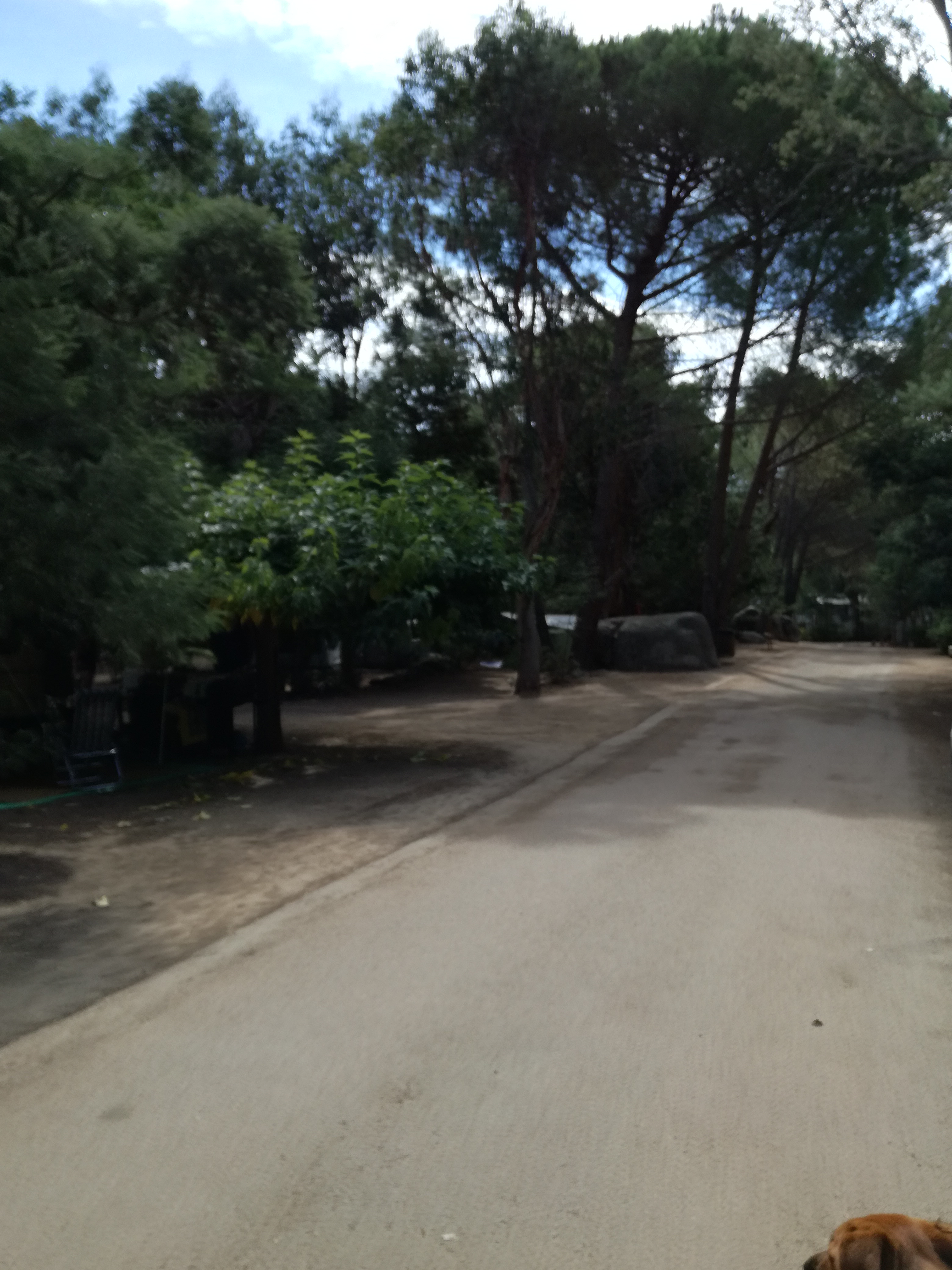 Photo n° 13 de l'avis de Jo.e fait le 16/08/2018 à 08:17