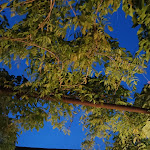 Photo n°2 de l'avis de Mauro.o fait le 21/05/2021 à 20:27 sur le  Trattoria Alla Moncia à Treviso