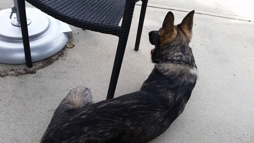 Coffee Shop «Starbucks», reviews and photos, 340 Oyster Point Rd, Newport News, VA 23602, USA