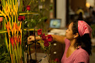 Best Florist Schools In Caracas Near You