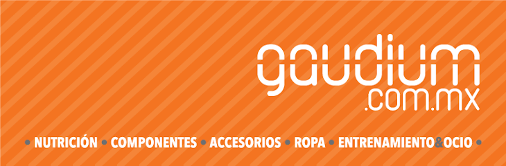 GAUDIUM.COM.MX