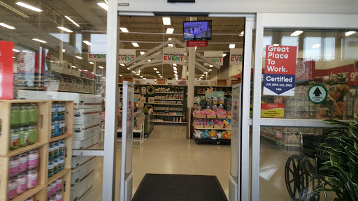 Craft Store «Michaels», reviews and photos, 6717 Spring Mall Dr, Springfield, VA 22150, USA