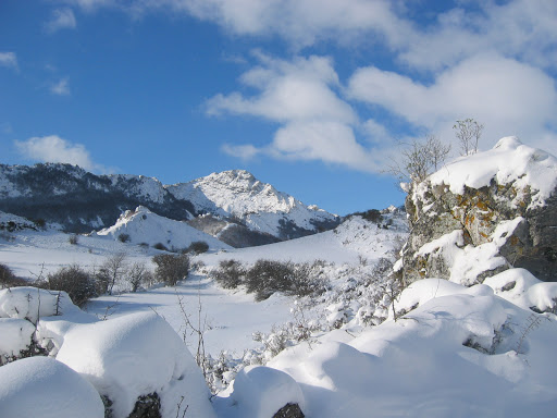 Información y opiniones sobre Restaurante hostal bar Condado montaña de Villanueva Del Condado